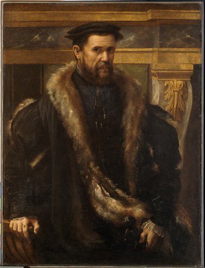 Portret mężczyzny, ok. 1550 (olej na płótnie) autorstwa Girolamo da Carpi