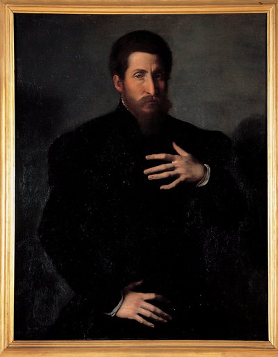 Portret męskiego mężczyzny autorstwa Girolamo da Carpi