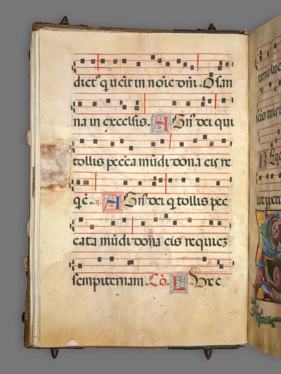 Stopniowo autorstwa Girolamo dai Libri