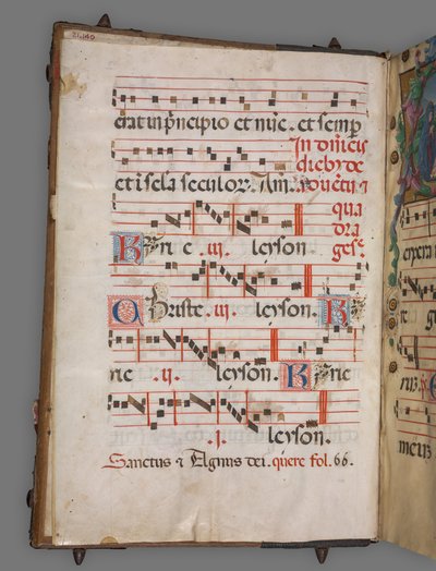 Stopniowo autorstwa Girolamo dai Libri