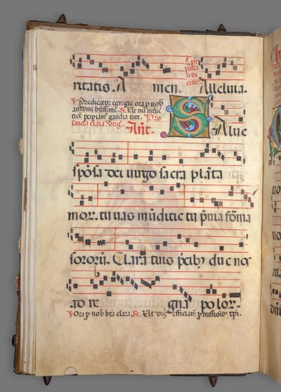 Stopniowy, ok. 1520. autorstwa Girolamo dai Libri
