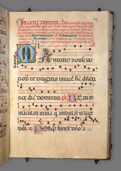 Stopniowy, ok. 1520. autorstwa Girolamo dai Libri