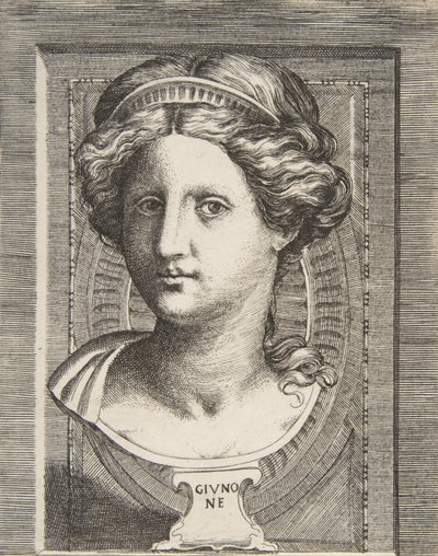 Rzeźbiona głowa Juno, ok. 1531-76. autorstwa Giulio Bonasone