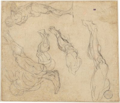 Głowa chłopca (verso) autorstwa Giulio Campagnola