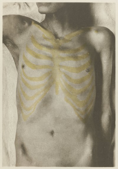 Anatomiczne foto van een mannelijk lijk: 