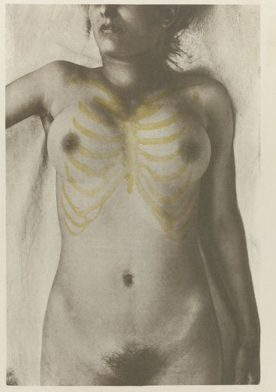 Anatomiczny foto van een vrouwelijk lijk: 