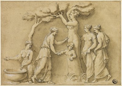 Narodziny Adonisa autorstwa Giulio Romano