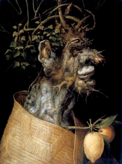 Zima, 1563 autorstwa Giuseppe Arcimboldi