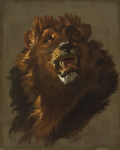 Lew autorstwa Giuseppe Baldrighi