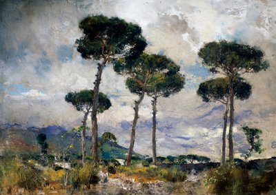 sosny autorstwa Giuseppe Casciaro