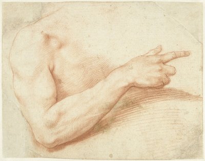 Badanie ramienia autorstwa Giuseppe Cesari