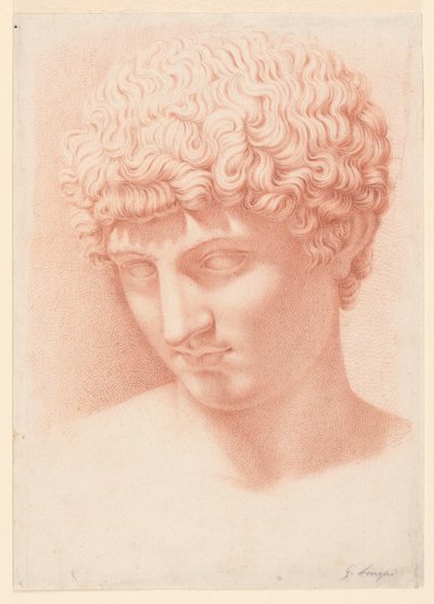 Szef Apolla autorstwa Giuseppe Longhi