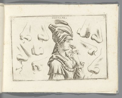 Zapach Odorare (tytuł na przedmiocie) autorstwa Giuseppe Maria Mitelli