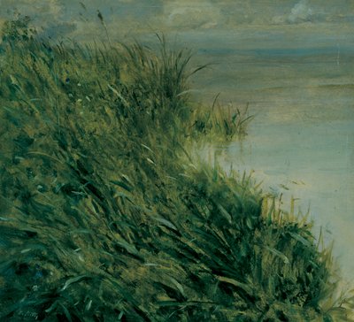 Studium bagienne autorstwa Giuseppe or Joseph de Nittis