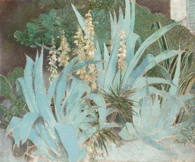 Kaktus (olej na płótnie) autorstwa Glyn Warren Philpot