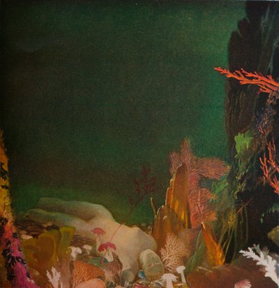 Pod morzem, ok. 1904-1924, 1924 autorstwa Glyn Warren Philpot