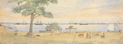 Greytown autorstwa Godfrey Thomas Vigne