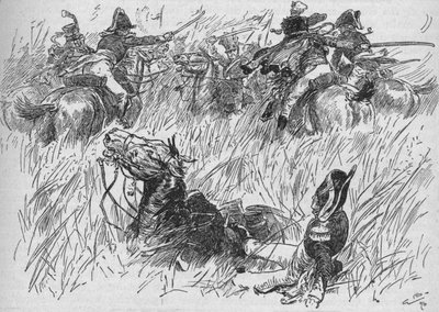 Koń generałów wpadł do rowu, 1896, 1902 autorstwa Gordon Frederick Browne