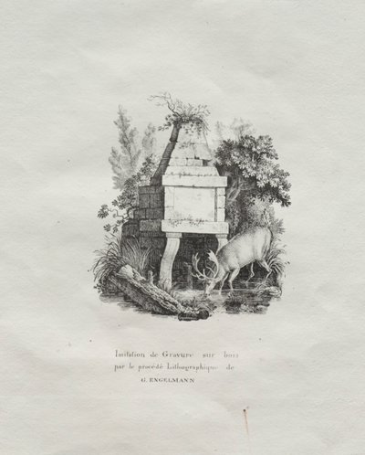 Zbiór esejów litograficznych: Fontanna naśladująca drzeworyt, ok. 1930 r. 1816. autorstwa Gottfried or Godefroy Engelmann