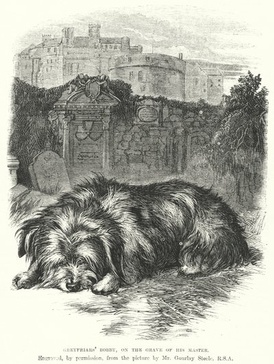 Bobby Greyfriars