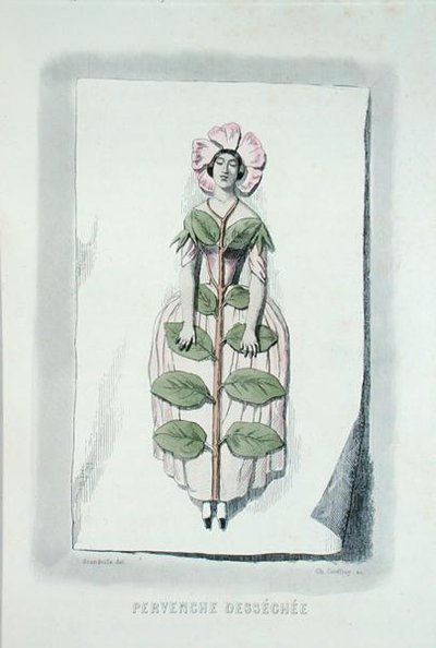 Barwinek zwiędły, z „Les Fleurs Animees”, grawerowane przez Charlesa Geoffroya (1819-82) autorstwa Grandville