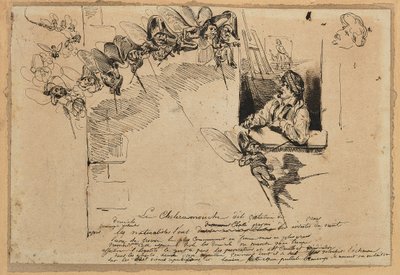 Le Choléramouche (grafit, pióro i brązowy tusz na papierze) autorstwa Grandville (1803-47)