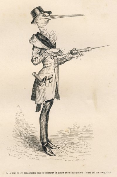 Bocian jako lekarz prowadzący lewatywę. Miniatury ilustrowane przez JJ Granville. Grawerowanie sygnowane Andrzejem, Bestem i Leloirem w części zatytułowanej „Dworskie bóle kota angielskiego” napisanej przez Honore de Balzac w „Sceny z życia prywatnego i pu autorstwa Grandville
