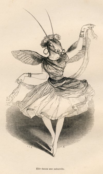 Zatańczyła saltarelle. Miniatury ilustrowane przez JJ Granville. Grawer sygnowali Andrzej, Best i Leloir w części zatytułowanej „Przygody motyla” napisanej przez PJ Stahla w „Sceny z życia prywatnego i publicznego zwierząt”. Paryż, J. Hetzel i Pau autorstwa Grandville