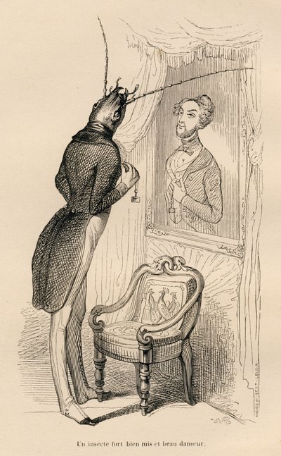 Owad patrzący na swoje ludzkie odbicie w lustrze). Winiety ilustrowane przez JJ Granville. Grawer sygnowany Andrzej, Best i Leloir w części zatytułowanej „Przygody motyla” napisanej przez PJ Stahla w „Sceny z życia prywatnego i publicznego zwierząt autorstwa Grandville