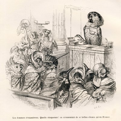 Wymowna papuga. Miniatury ilustrowane przez JJ Granville. Grawerem sygnowany Porret w części zatytułowanej „Przewodnik osiołkiem na użytek zwierząt chcących osiągnąć zaszczyty” autorstwa Honore De Balzac w „Sceny z życia prywatnego i publicznego zwierząt”. autorstwa Grandville