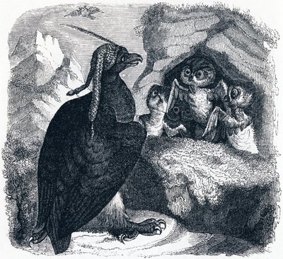Orzeł i Sowa, ilustracja z „Bajek La Fontaine”, autorstwa Grandville