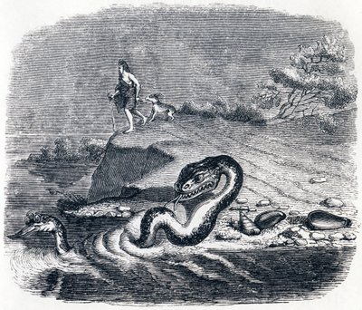 Przód i ogon węża (La tete et la queue du serpent) - Baśnie La Fontaine