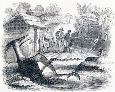 Ptak rani strzałą - Bajki La Fontaine autorstwa Grandville