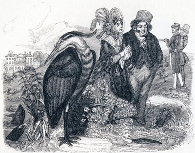 Czapla (le Heron) - Bajki La Fontaine autorstwa Grandville