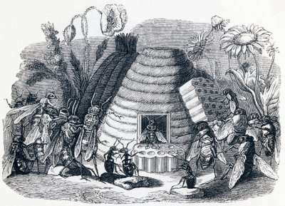 Szerszenie i muchy miodowe - Bajki La Fontaine autorstwa Grandville