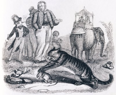 Szczur i słoń (le rat et l