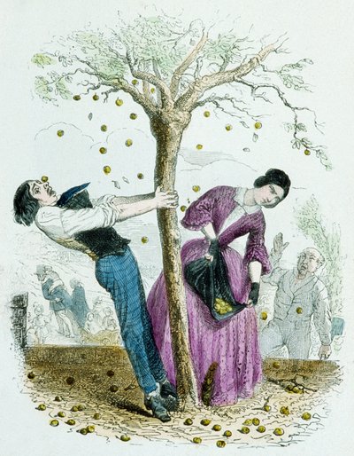 Nie ma nic złego w posiadaniu zbyt wiele, ze 100 przysłów autorstwa Grandville (1803-47)