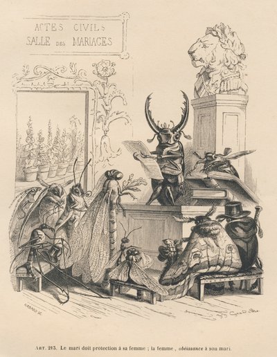 Śluby owadów. Miniatury ilustrowane przez JJ Granville. Grawer sygnowany Godardem w części zatytułowanej "Przygody motyla" napisanej przez PJ Stahla w "Scenach z życia prywatnego i publicznego zwierząt". Paryż, J. Hetzel i Paulin autorstwa Grandville