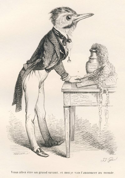 Będziesz wielkim uczonym i zamierzam ogłosić to światu. Winiety ilustrowane przez JJ Granville. Grawer sygnowany Tamisier w dziale pt. autorstwa Grandville