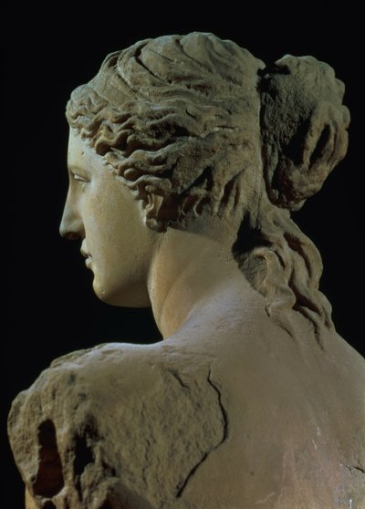 Wenus z Milo, detal z tyłu głowy, okres hellenistyczny, ok. 100 pne marmur, widok z przodu patrz 14152 autorstwa Greek