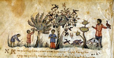 Polowanie z sokołami na ptaki – w „De Venatione” Oppianusa, rękopis grecki z XIII wieku. Biblioteca Marciana. Wenecja autorstwa Greek School