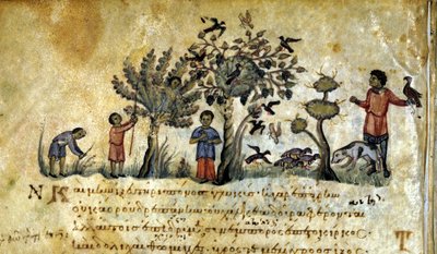 Polowanie z sokołem i chwytanie gniazd ptaków. Grecki rękopis Oppianus De Venatione 13 wieku. autorstwa Greek School