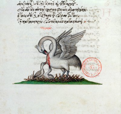 Ms 3401 Pelikan przebijający pierś, by nakarmić młode, z bestiariusza Manuela Philesa, 1566 autorstwa Greek School