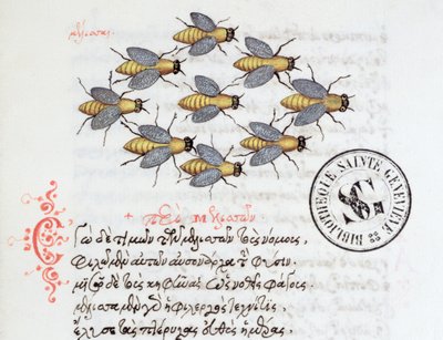Ms 3402 Pszczoły, z Bestiariusza Manuela Philesa, 1566 autorstwa Greek School