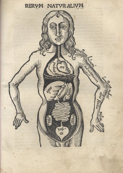 Margarita filozoficzna Anatomia, 1504 autorstwa Gregor Reisch