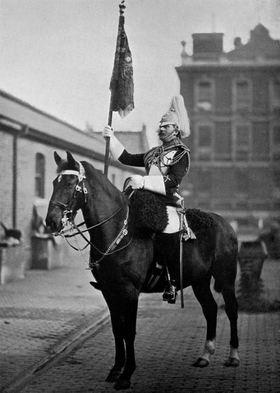 Major kapral eskadry 1st Life Guards ze sztandarem, 1896. autorstwa Gregory and Co