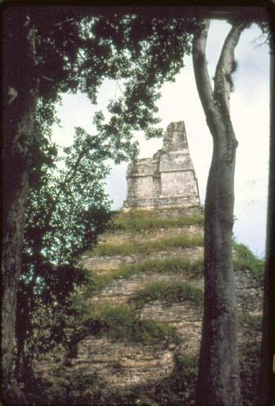 Świątynia Inskrypcji, ok. 700 r. n.e. autorstwa Guatemalan School