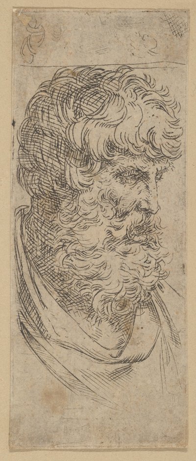 Popiersie brodatego mężczyzny, ca. 1600-1640. autorstwa Guido Reni