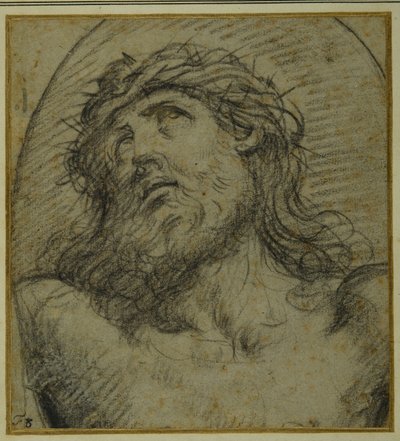 Głowa i ramiona żyjącego Chrystusa ukrzyżowanego (czarna kreda na carta azzurra) autorstwa Guido Reni