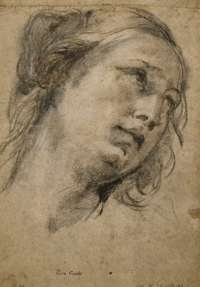 Głowa kobiety patrzącej w prawo, autorstwa Guido Reni
